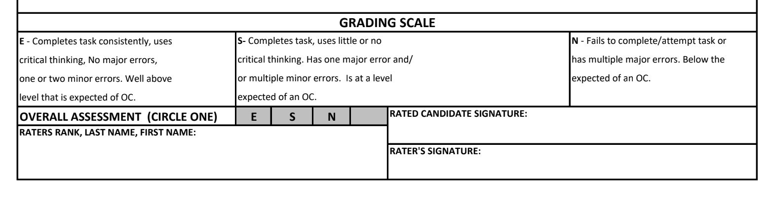 FLER Grading Scale - E/S/N definitions